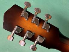 Dobro DUOLIAN MODEL-90_6