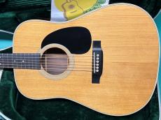 Martin D-28 _2