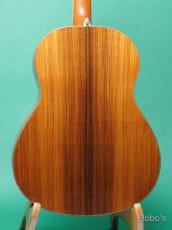 Larrivee L-10RW Custom Eagle Lady_4