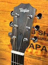 Taylor 【アウトレット特価】GS Mini-e Rosewood SB【ミニギター】【ローズウッドサイドバック】_4