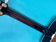 Gibson DOVE Rosewood Special Edition_8