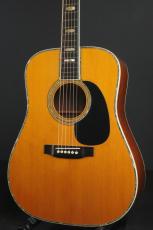 Martin D-45_2