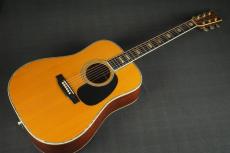 Martin D-45_10