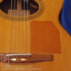 Bert Kwakkel Custom Steel Strings (Jacaranda)_12