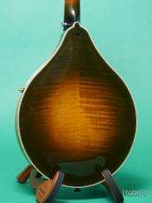 Gibson A-5L_4