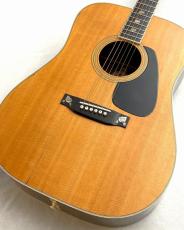 Morris 【USED】MV-730【Vanguard Series】【貫録のある重厚なサウンド】