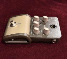 L.R.Baggs SESSION DI_5