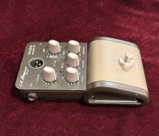 L.R.Baggs SESSION DI_6