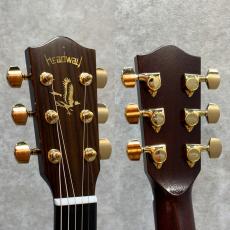 Headway The Eagle URUSI/STD Type F #S03827【漆】_3