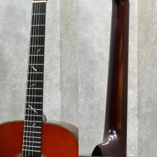 Headway The Eagle URUSI/STD Type F #S03827【漆】_4