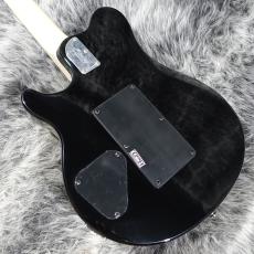 Sterling by MUSIC MAN AX40 Trans Gold_7