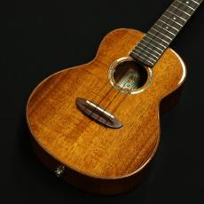 aNueNue Hawaiian Koa Series  aNN-AKK2E ピックアップ搭載モデル