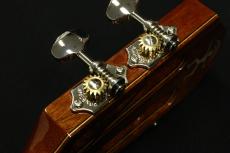 aNueNue Hawaiian Koa Series  aNN-AKK2E ピックアップ搭載モデル_6