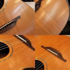 Lowden F12C_3