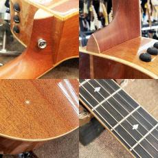 Taylor 414ce-LTD_4