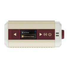 HOTONE PULZE MINI 【小型デジタルマルチアンプ】【Bluetooth対応】_4