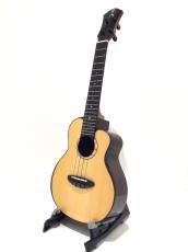 aNueNue aNN-UC200 Con_2