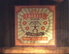 aNueNue aNN-UC200 Con_9