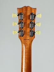 Tokai LS-201-WA -Gold Top-【4.09kg】_8