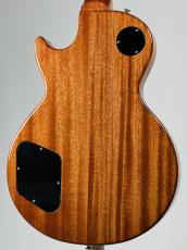 Tokai LS-101-WA -Gold Top-【4.24kg】_6