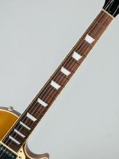 Tokai LS-101-WA -Gold Top-【4.24kg】_9