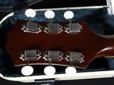 KING SNAKE Curtis Tobacco Sunburst_9