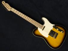 Fender TLR-RK BS 2012_2
