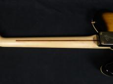Fender TLR-RK BS 2012_8