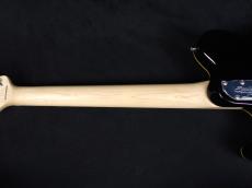 Sterling by MUSIC MAN AX40 Trans Gold_8