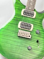 Paul Reed Smith [PRS] SE Custom 24 -Emerald Green-#CTI H014461【3.38kg】【繊細フレイムトップ!!】_2