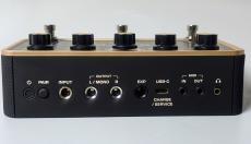 Positive Grid Spark PEDAL_5