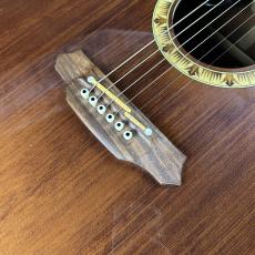 Takamine PT507_4