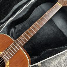 Takamine PT507_5