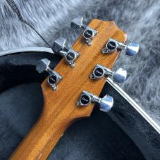 Takamine PT507_10