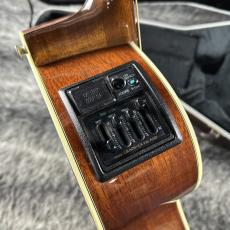 Takamine PT507_11