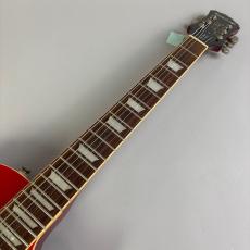 Epiphone Les Paul Standard_3
