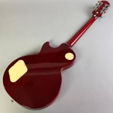 Epiphone Les Paul Standard_6