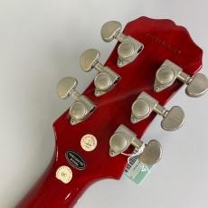 Epiphone Les Paul Standard_8