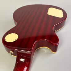 Epiphone Les Paul Standard_10