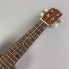 Hanalei HUK-100SII_3