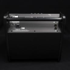 Roland PM-200 Personal Monitor_2