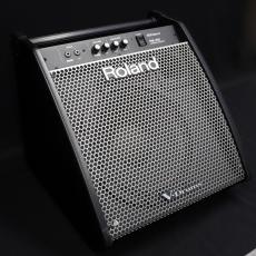 Roland PM-200 Personal Monitor_4