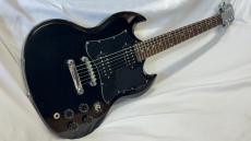 Epiphone G-310_2