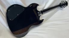 Epiphone G-310_4