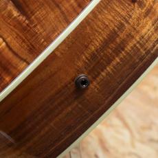 Gibson Hummingbird Koa Special_10