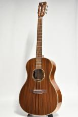 DCT FR-205KE 【ニューヨーカータイプ】【オールコアボディ】【エレアコ仕様】_3