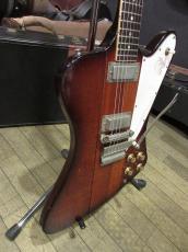Gibson 1964 Firebird Ⅲ Sunburst_3