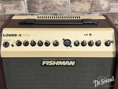 FISHMAN Loudbox Mini Bluetooth Amplifier _4
