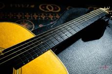 Martin D-28 Marquis  / 2010_5