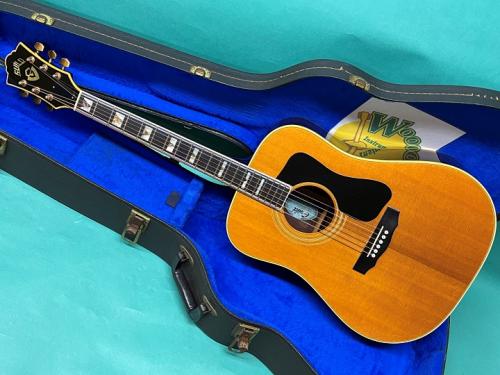 Guild D-55 NT